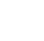 Triadvisor Badge